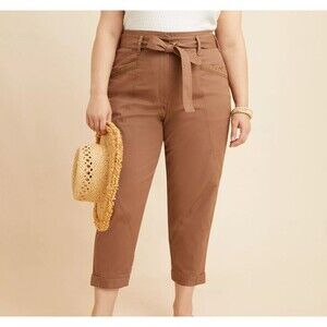 Anthropologie Womens Ellie Embroidered Utility Pants Size 24W Brown Casual Boho